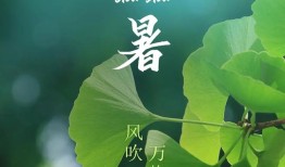 处暑将至，“处暑天还暑，好似秋老虎”，秋老虎是啥？天还热吗？