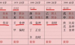 伤官格是什么意思？