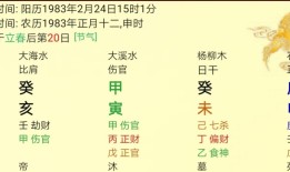 平相居士：八字上什么是金水伤官