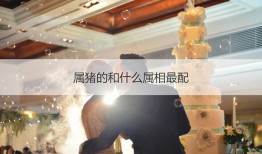 属猪的和什么属相最配 属猪的和什么属相相克