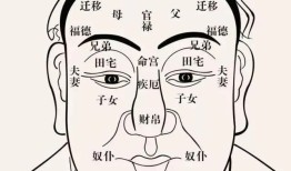 手相面相：人中的面相学意义(图)