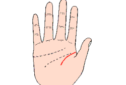 手相：生命线短表示什么？能补救吗？