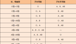 O型血女，嫁给O男吧，千万别嫁A男，因为OO配可以让O型血人继承财富