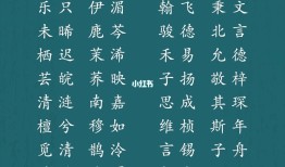 诗经中最唯美的名字 独特稀少女孩名字大全