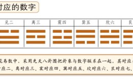 梅花易数有多少种起卦方法