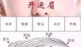 艺安美业课堂：眉好，命好，纹绣师必知的眉相学！