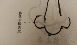 面相学：你有一个发财的鼻子吗？