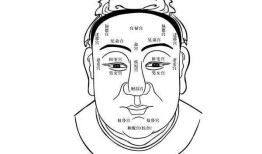 收藏：古今面相学参考书目推荐