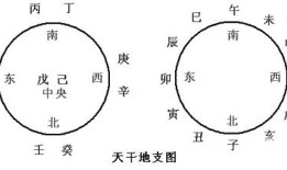 阴阳与天干、地支、五行、八卦有什么关系？