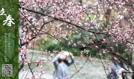 武汉风水疫情格局,武汉风水不好的地方