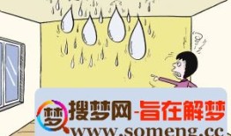 梦见下大雨房子漏水是什么意思有什么预兆 原版周公解梦