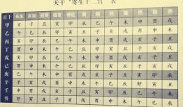 八字十神中的正官是什么意思？代表了什么？