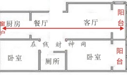 办公桌绿萝风水摆放禁忌 选对位置才能旺财