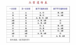 血型与性格分析