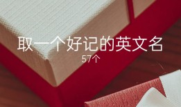 好记可爱的女生英文名(好听的女英文名有寓意) 57个