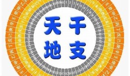 八字日柱天合地合，八字日元合化怎么看