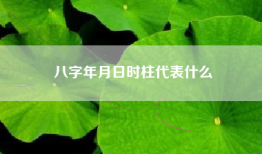 八字年月日时柱代表什么