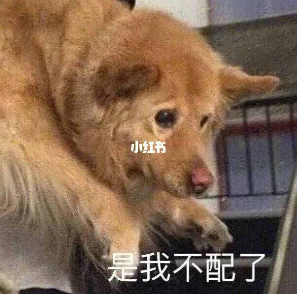 正月初五为啥叫“破五”？（正月十五的习俗 你知道哪些）