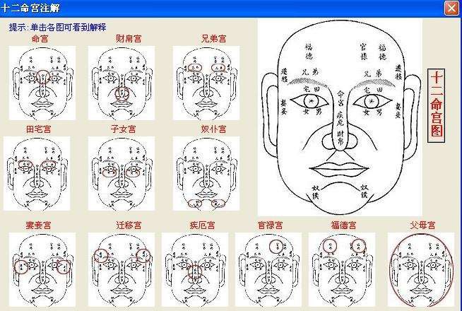 命宫无主星分几种情况