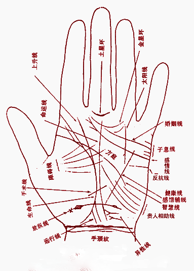 掌纹算命_手相算命图解断掌纹_看掌纹算命图解