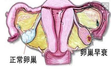 刺激战场陀螺仪全陀还是半陀_陀罗在丑_帝国时代2布里陀毗罗第四关