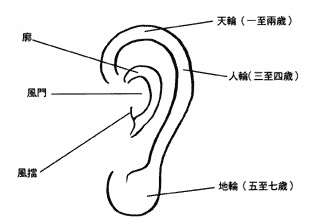 看不到耳朵的面相女人_耳朵小而圆的女人面相_女人耳朵长痣面相图