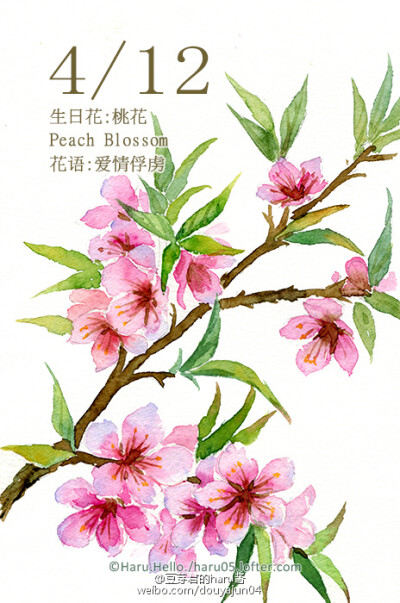 八字命理中正缘桃花解析