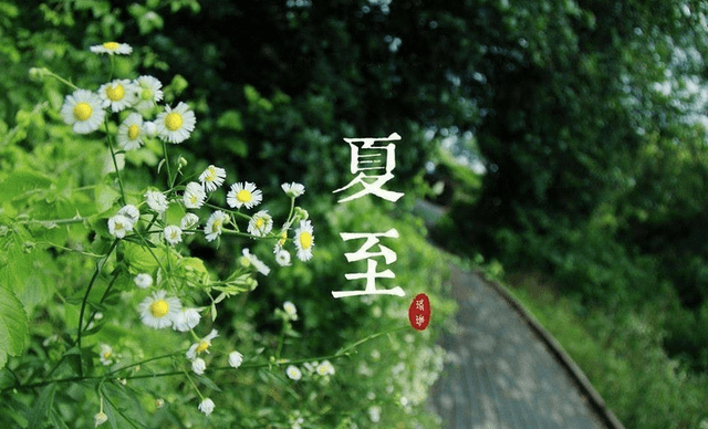 夏至开始入伏吗_夏至入伏是什么意思_夏至是入伏的开始吗