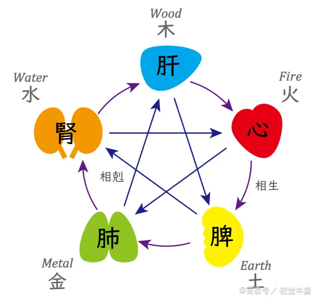 五行图相生图与五腑人体图  五行与人体对应关系