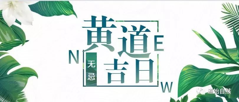 黄道吉日择日大全十卷全__黄道吉日秘法择日简单选择十二