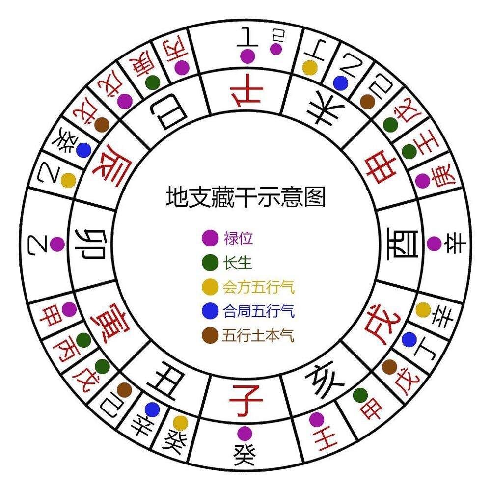 四柱命理：透干和通根的区别收藏